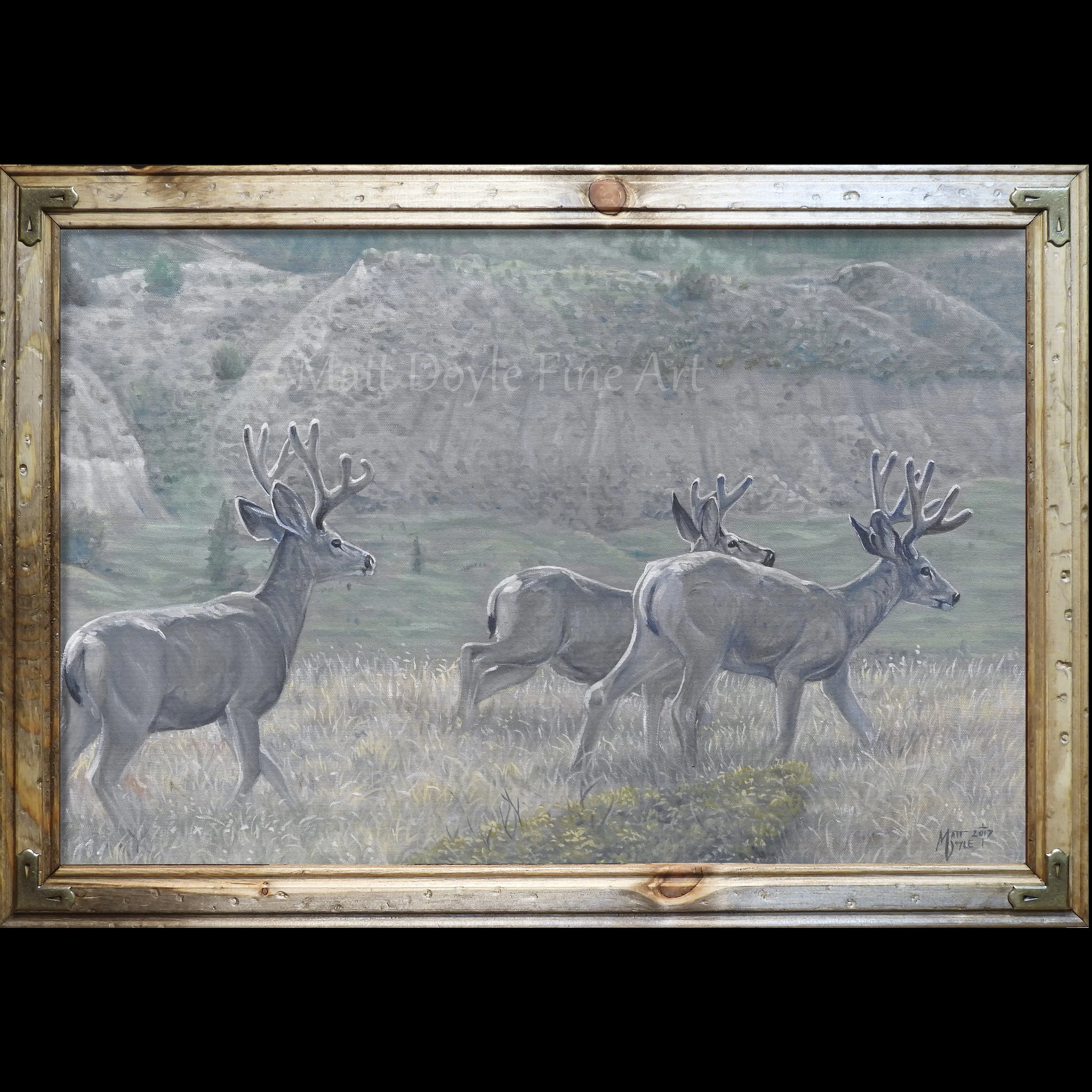 Deer — Matt Doyle Fine Art